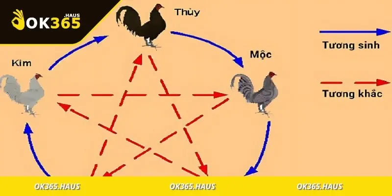 Màu Mạng Đá Gà Là Gì? Cách Xem Mạng Gà Đấu Chính Xác 3 Bảng màu mạng đá gà theo Kim Mộc Thủy Hỏa Thổ